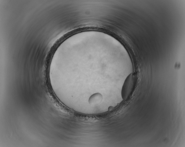 X0000114530975200911091107