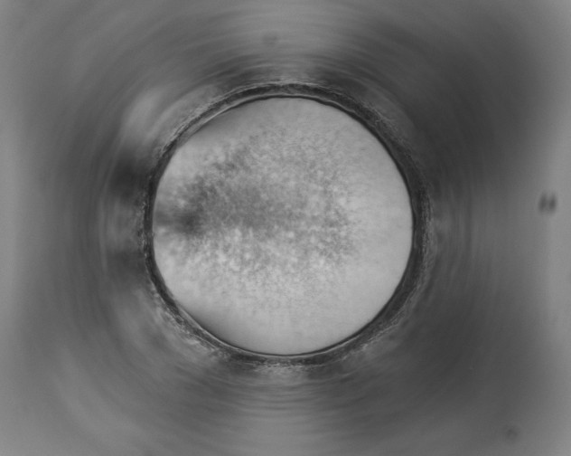 X0000114530977200911091107