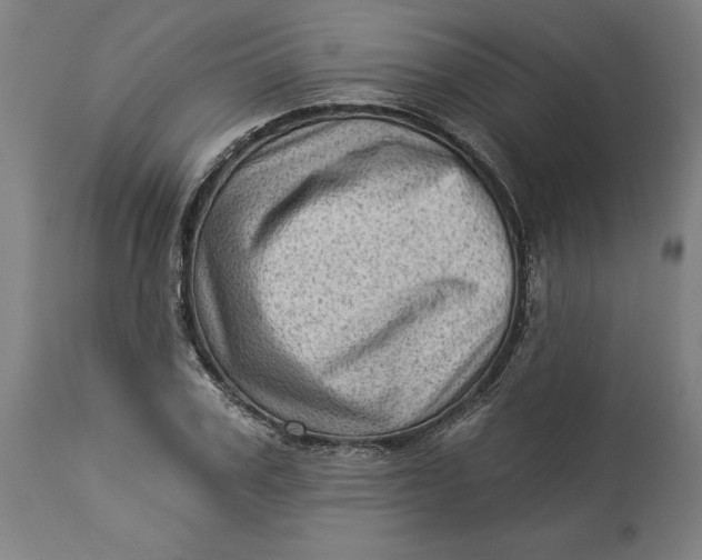 X0000114530979200911091107