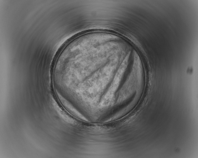 X0000114530980200911091107