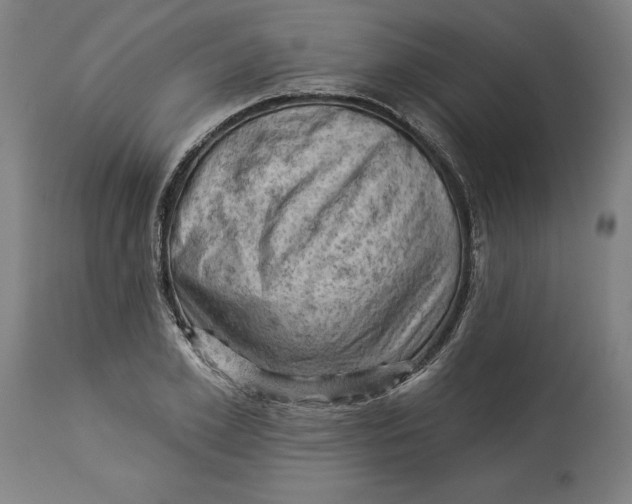 X0000114530981200911091107