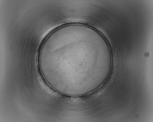 X0000114530983200911091107