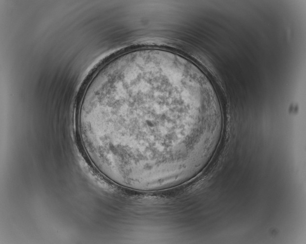 X0000114530984200911091107