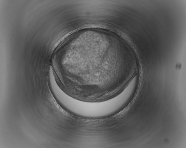 X0000114530985200911091107