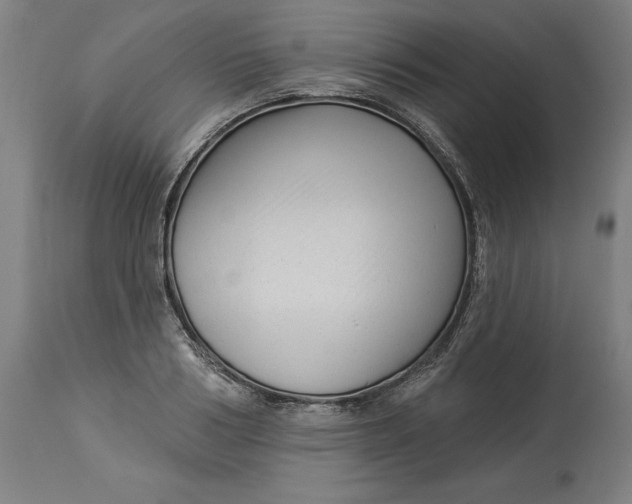 X0000114530986200911091107