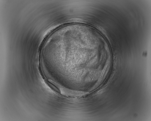 X0000114530987200911091107