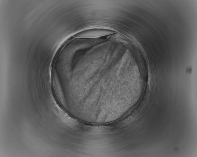 X0000114530988200911091107