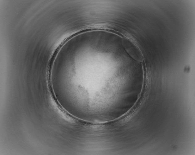 X0000114530989200911091107