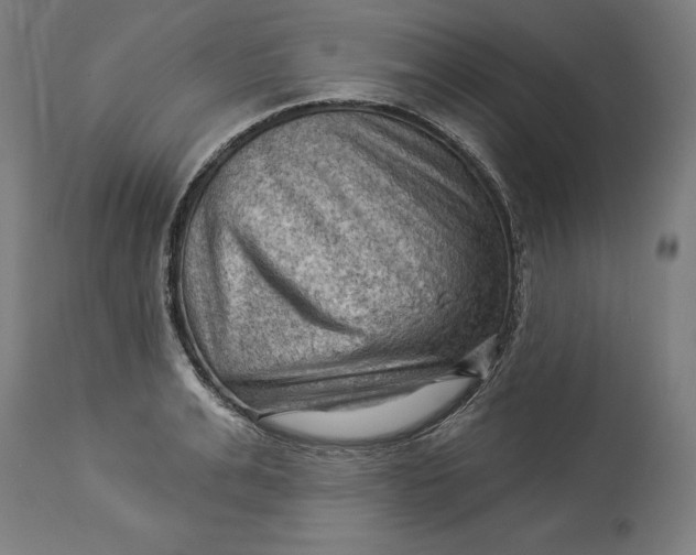 X0000114530991200911091107
