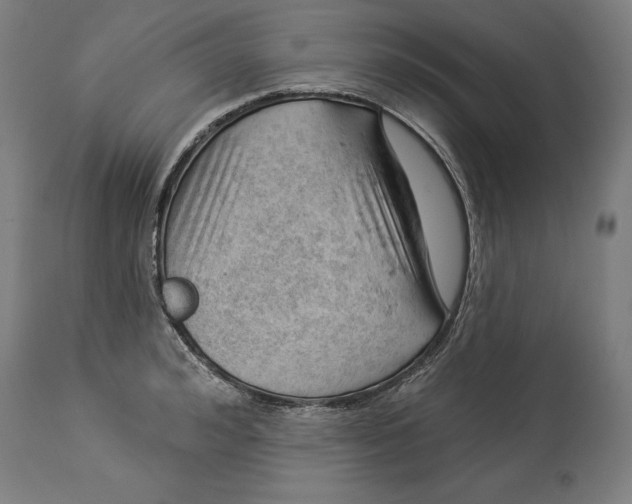 X0000114530992200911091107