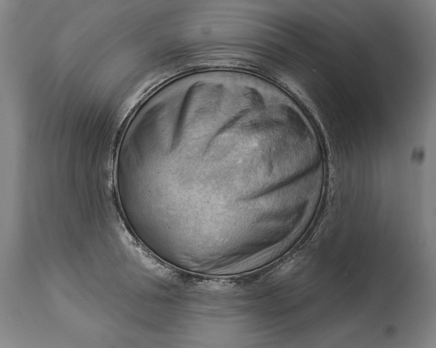 X0000114530994200911091106