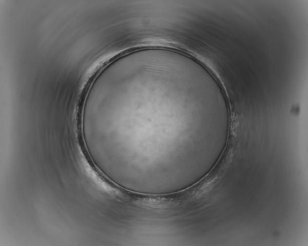 X0000114530995200911091106