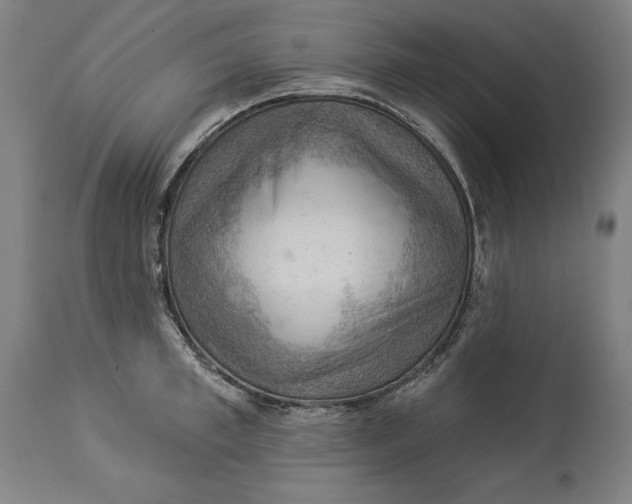 X0000114530997200911091106