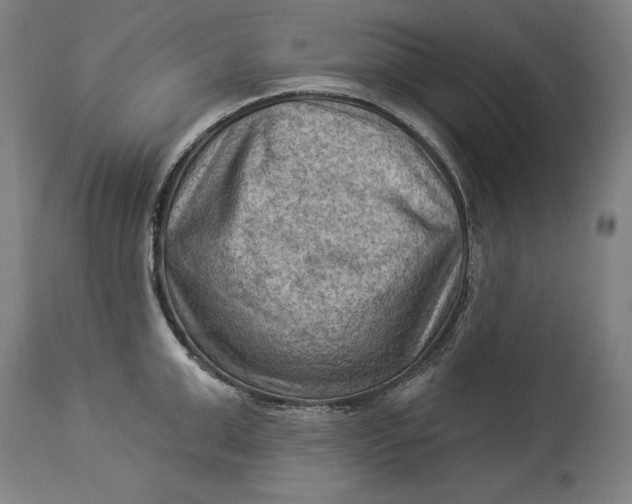 X0000114530999200911091106