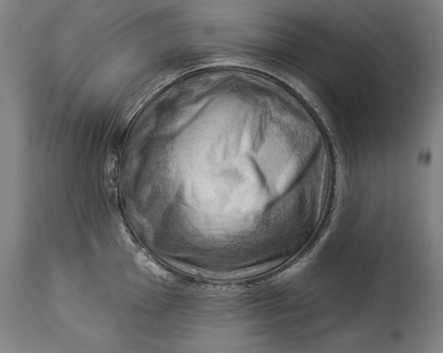 X0000114531001200911091106