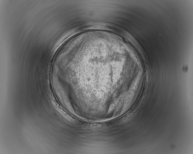 X0000114531002200911091106