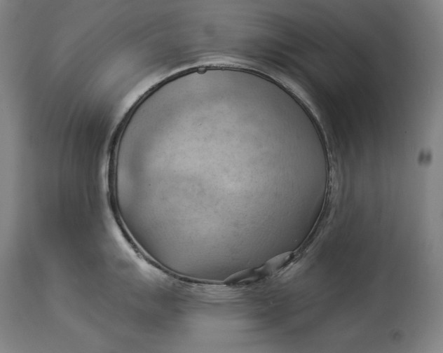 X0000114531007200911091106