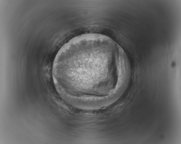 X0000114531010200911091106