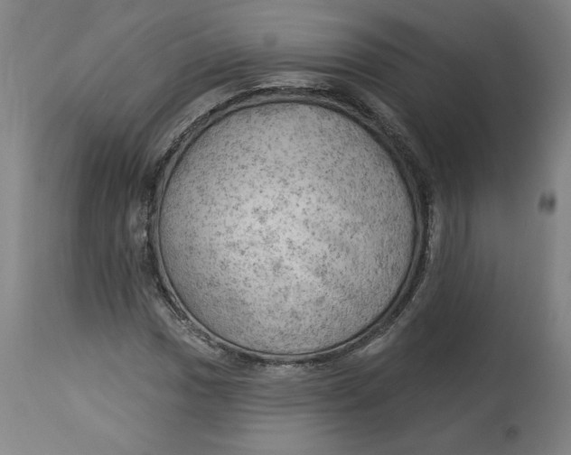 X0000114531017200911091106