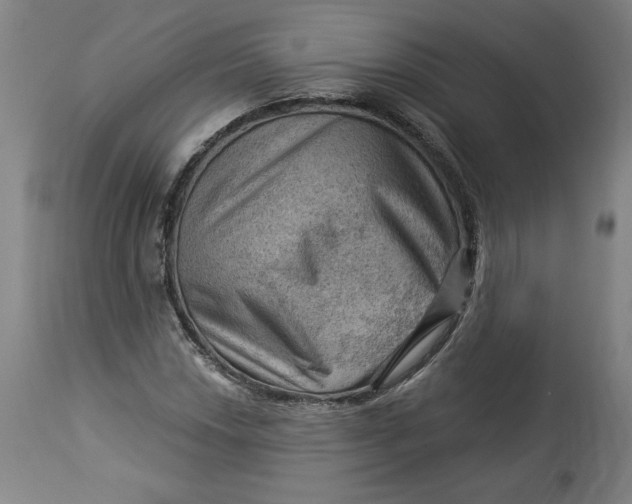 X0000114531018200911091106
