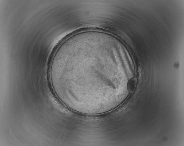 X0000114531020200911091106