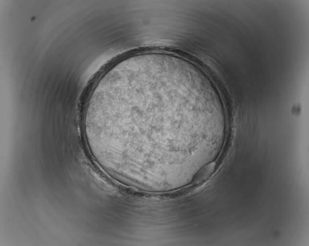X0000114531022200911091106