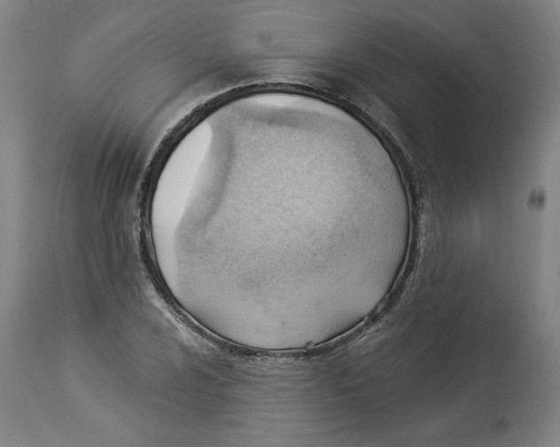 X0000114531024200911091106
