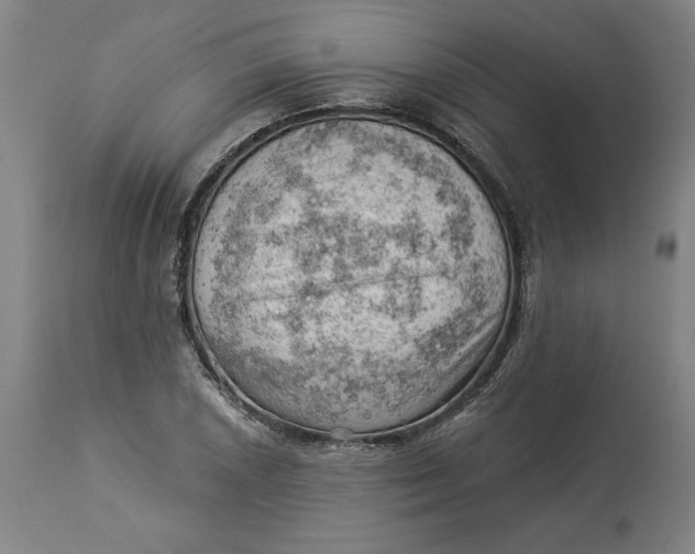 X0000114531026200911091106