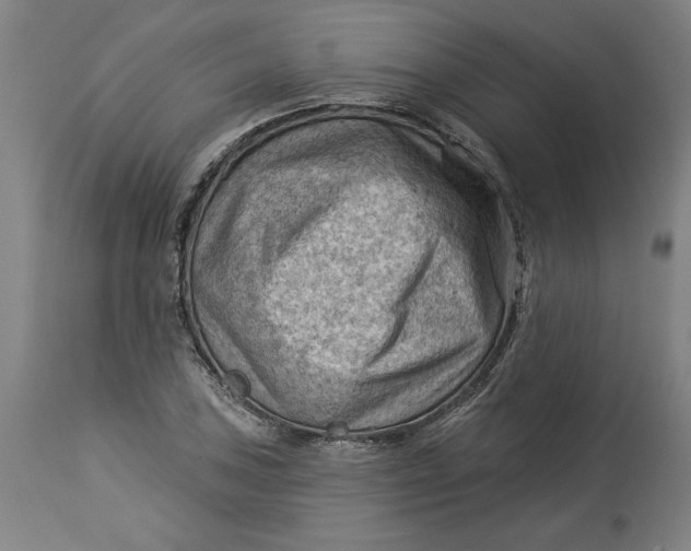 X0000114531027200911091106