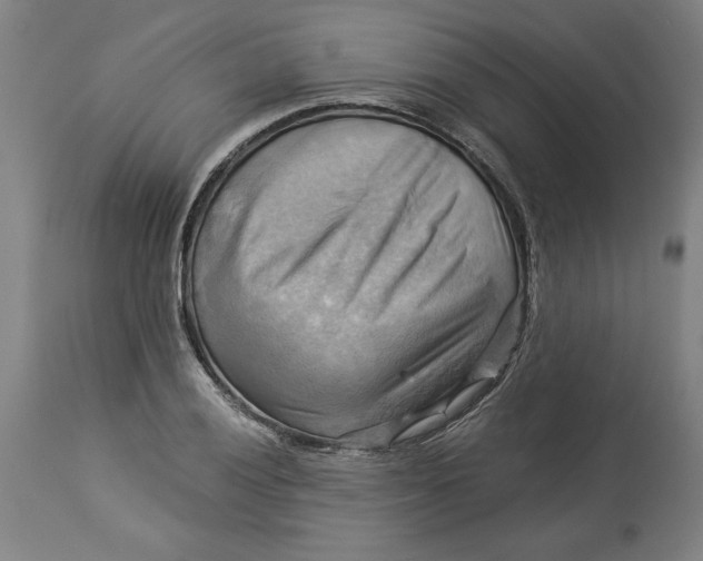 X0000114531028200911091106