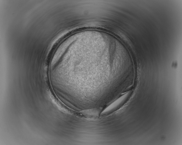 X0000114531029200911091106