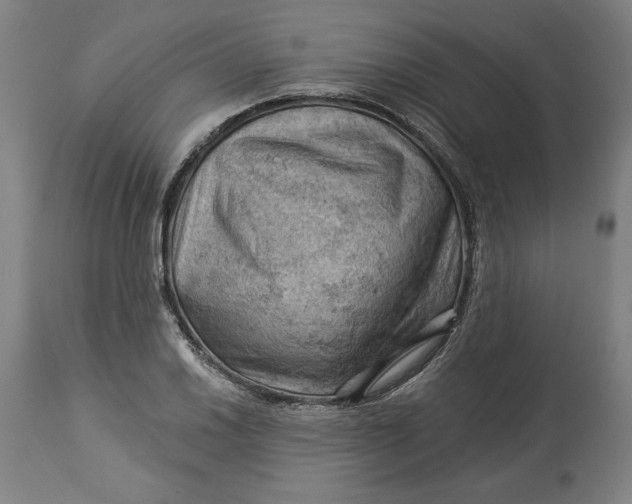 X0000114531030200911091106