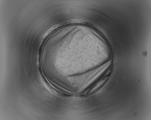 X0000114531034200911091106