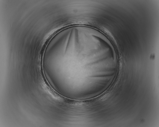 X0000114531035200911091106