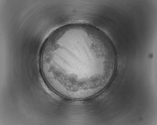X0000114531038200911091106