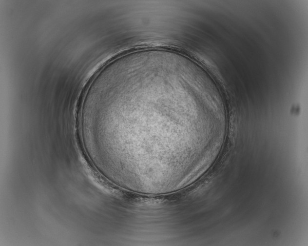 X0000114531039200911091106