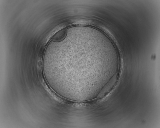 X0000114531041200911091106