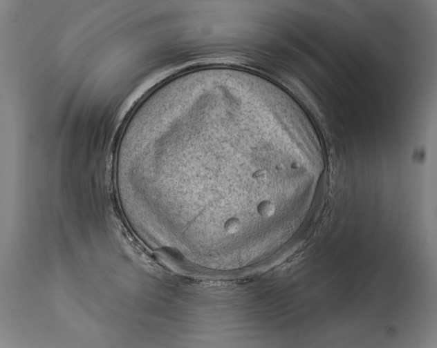 X0000114531044200911091106