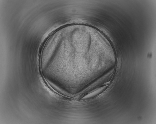 X0000114531046200911091106