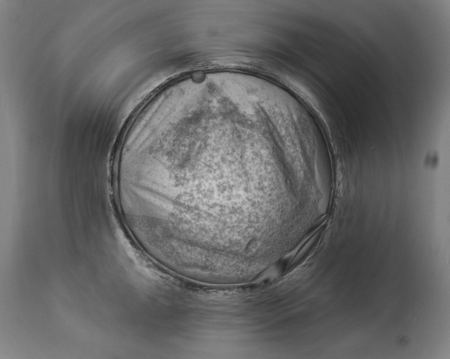 X0000114531047200911091106