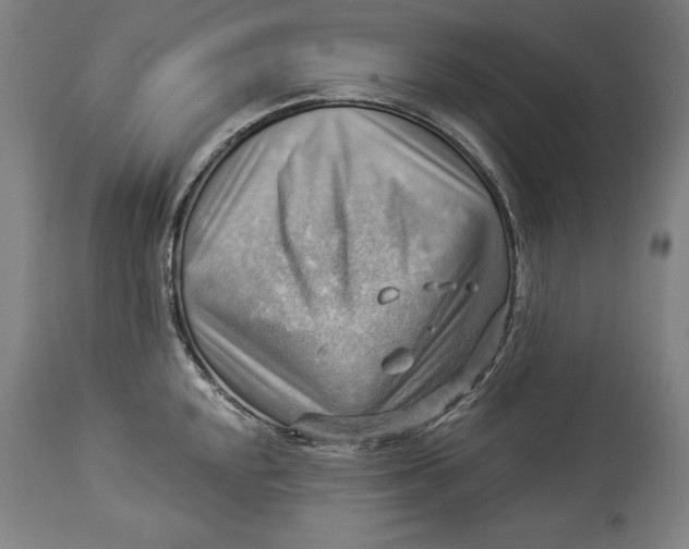 X0000114531048200911091106