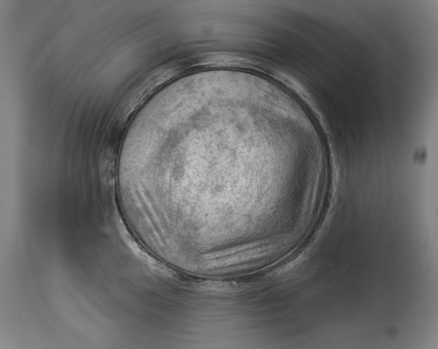 X0000114531049200911091106