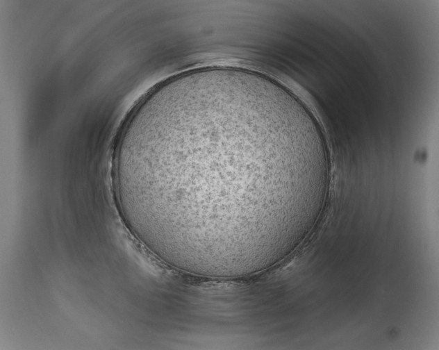 X0000114531051200911091106
