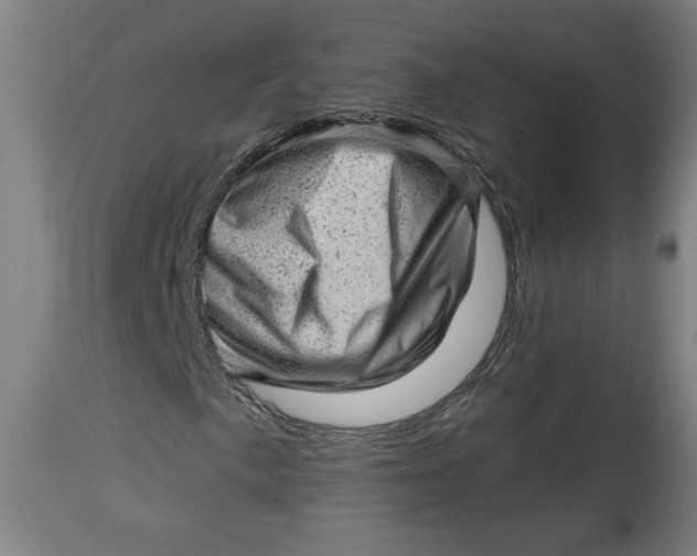X0000114531057200911091106