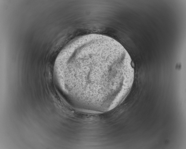 X0000114531058200911091105
