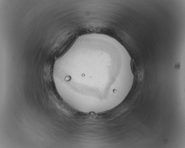 X0000114531060200911091105