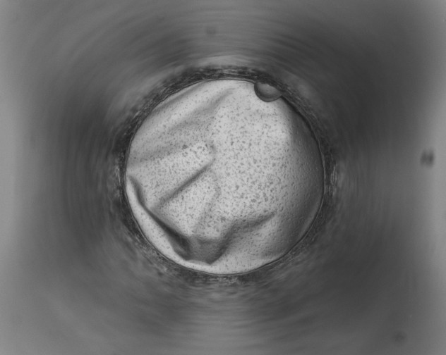 X0000114531062200911091105