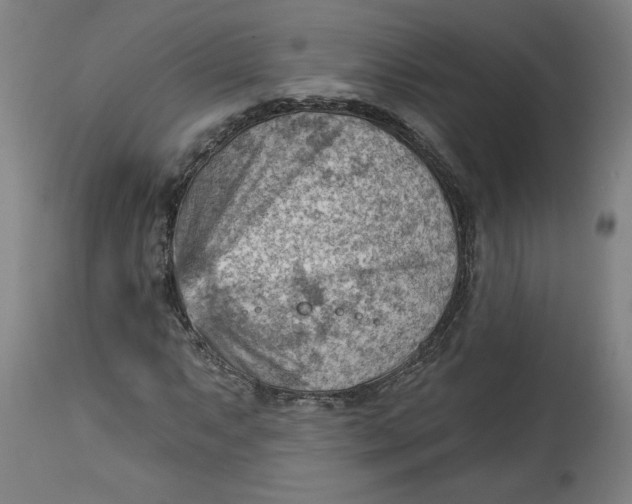 X0000114531063200911091105