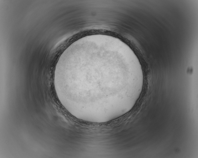 X0000114531064200911091105
