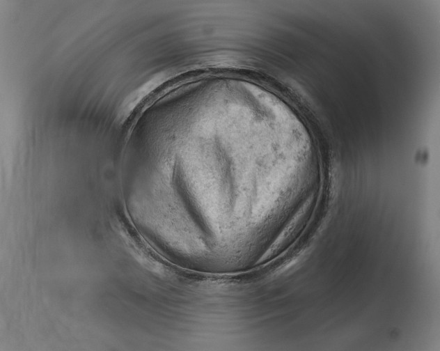 X0000114531065200911091105